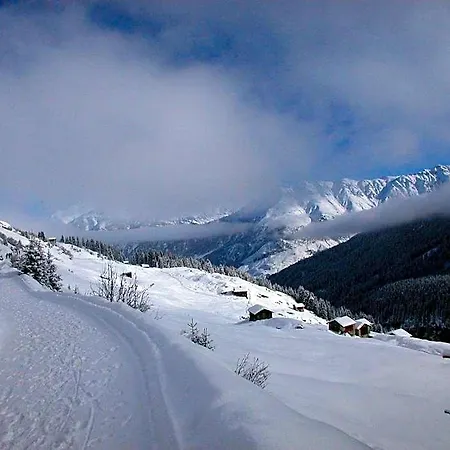 Hotel Alpina 3*