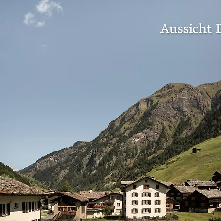 Hotel Alpina 3*