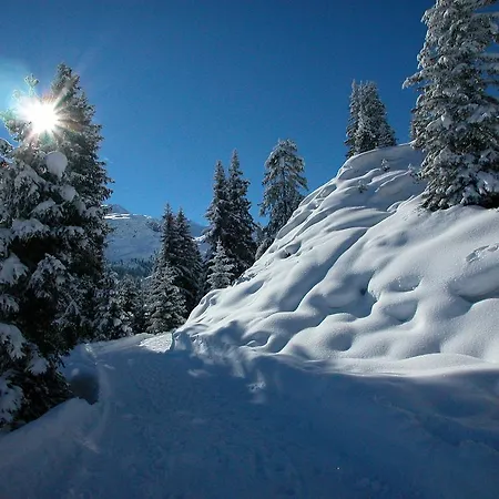 Alpina Vals